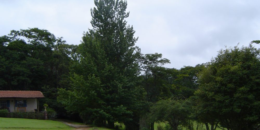 fev 2004 056